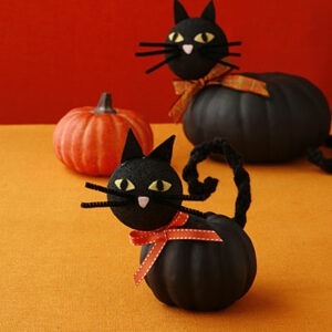 all-you-pumpkin-cats