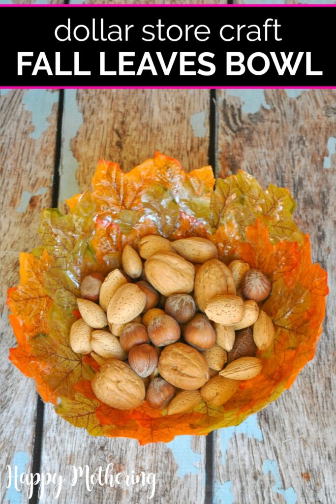 DIY Fall Leaves Bowl by Happy Mothering.